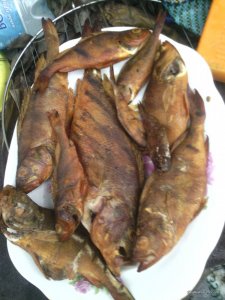 IMG_20161127_122800.jpg