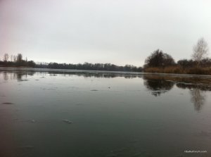 IMG_2965.JPG