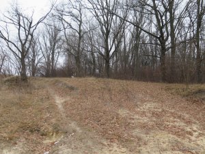IMG_0474.JPG