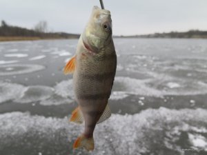 IMG_0485.JPG