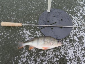 IMG_0488.JPG