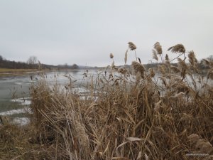 IMG_0491.JPG