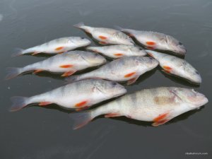 IMG_0506.JPG