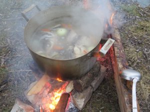 IMG_0522.JPG