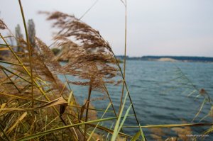DSC_0010.jpg