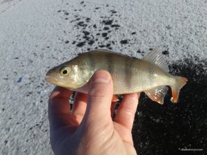 20161129_123745.jpg