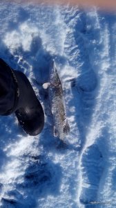 IMG_20161130_091155.jpg