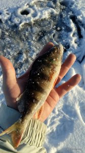 IMG_20161130_141539.jpg