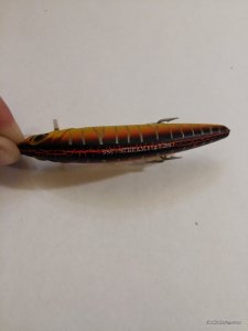 20161130_192218.jpg