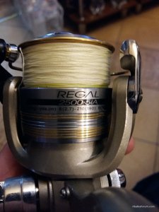 20161130_202721.jpg