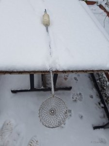20161201_111802.jpg