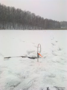 2016-12-01 10-17-12.JPG