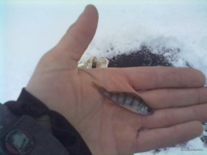 021220162475[1].jpg