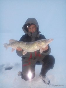 DSC_1095.jpg