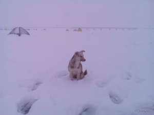 IMG_20161203_121018.jpg