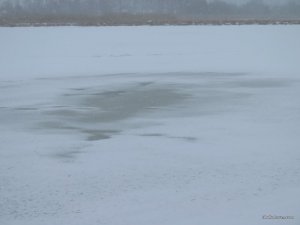 IMG_0573.JPG