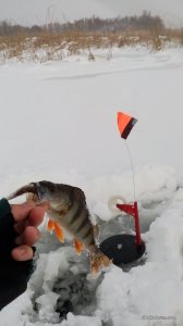 IMG_20161204_090939.jpg