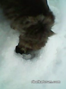 IMG0010A.jpg