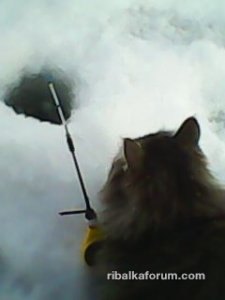 IMG0015A.jpg