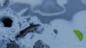 IMG_20161204_132844.jpg