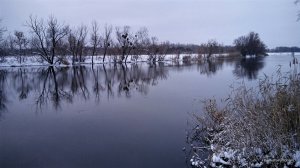 IMG_20161204_085310.jpg