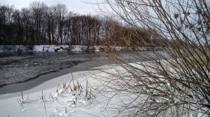 IMG_20161204_111511.jpg