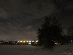 IMG_0593.JPG