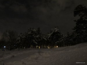 IMG_0595.JPG