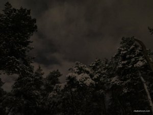 IMG_0596.JPG