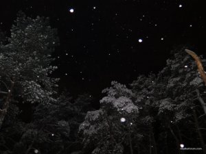 IMG_0598.JPG