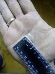 IMG_20161205_142925.jpg