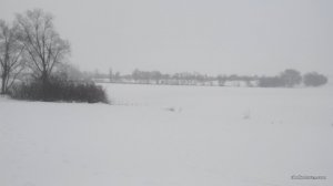 20161206105448.jpg