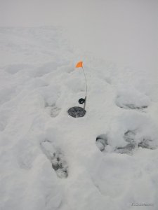 IMG_20161204_084418.jpg