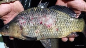 20161108_012841.jpg