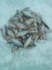 IMG_20161208_145559.jpg