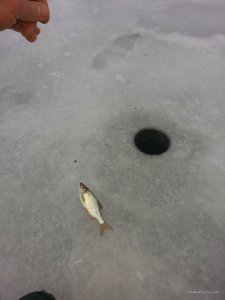 20161209_081150.jpg