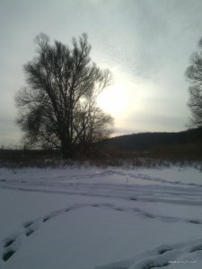 IMG_20161208_093318.jpg
