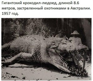 yAink_Zoi7w.jpg