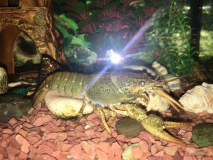 IMG_1961.JPG