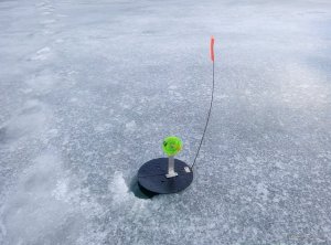 IMG_20161210_095149_HDR.jpg