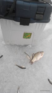 20161210104720.jpg