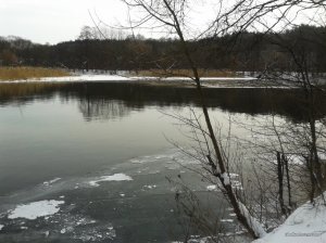 20161208_101536.jpg