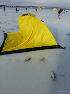20161210_120129.jpg