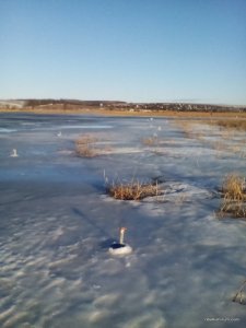 IMG_20161211_084004.jpg