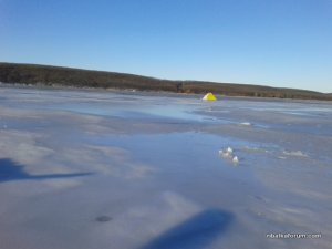20161211_085600.jpg