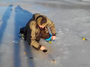 IMG_20161211_090513.jpg