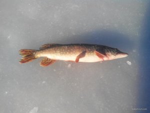 IMG_20161211_103759.jpg