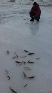20161210_151045.jpg
