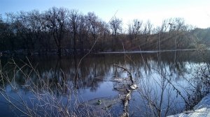 IMG_20161211_091315.jpg