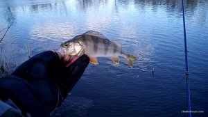IMG_20161211_115446.jpg